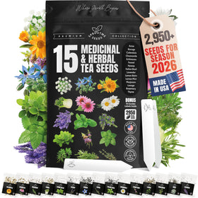 SPROUTME SEEDS calendula seeds for vibrant blooms and home remedies