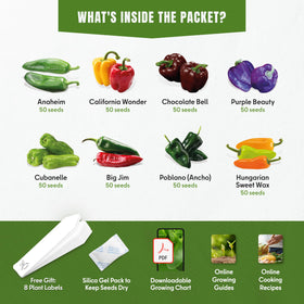 SproutMe Seeds Cubanelle pepper seeds ideal for fresh, mild peppers ready to sauté.