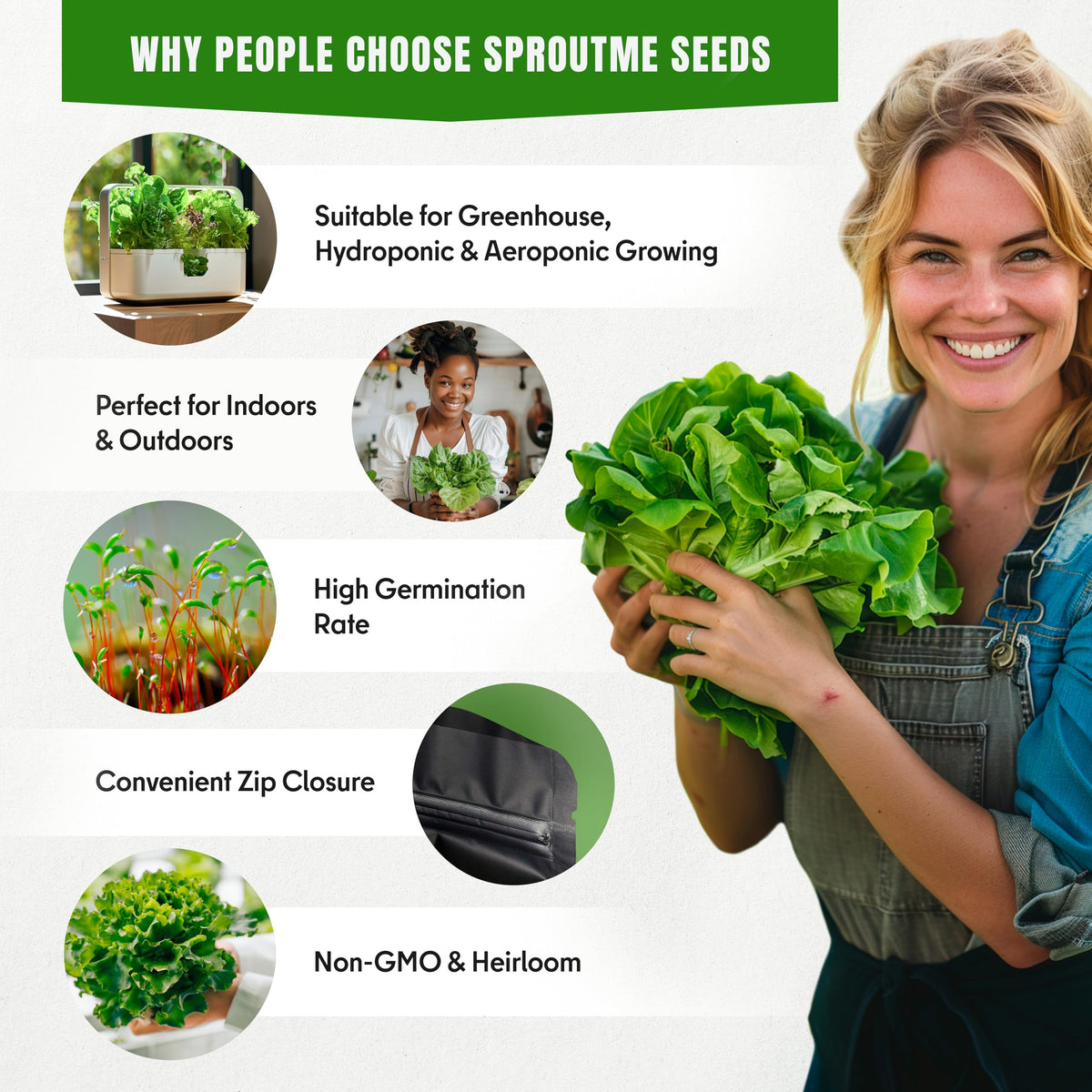 SproutMe Seeds indoor garden setup showing leafy greens thriving