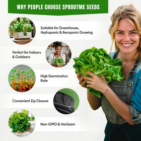 SproutMe Seeds indoor garden setup showing leafy greens thriving