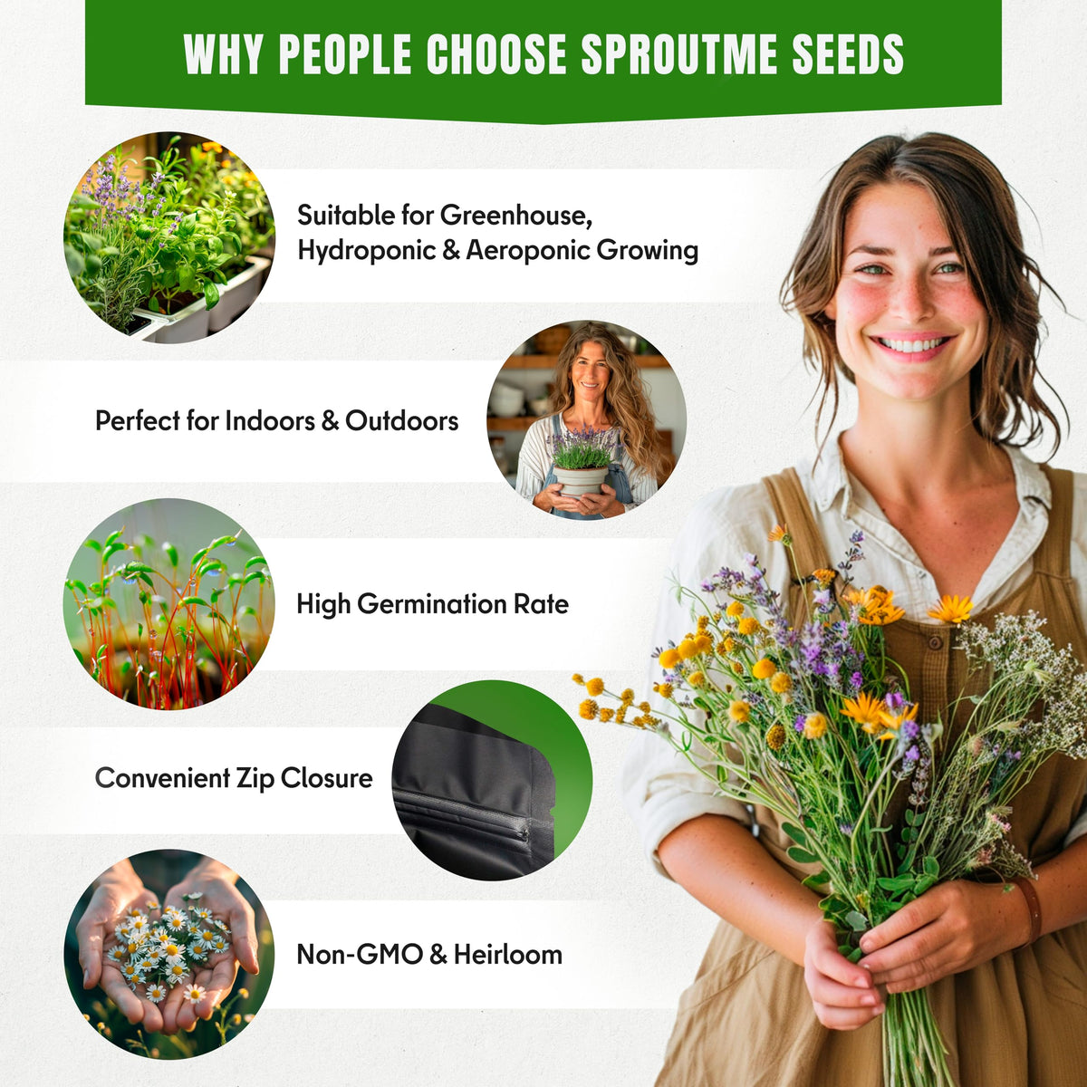 SPROUTME SEEDS lovage seeds for flavorful herb beds and harvests