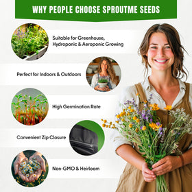 SPROUTME SEEDS lovage seeds for flavorful herb beds and harvests