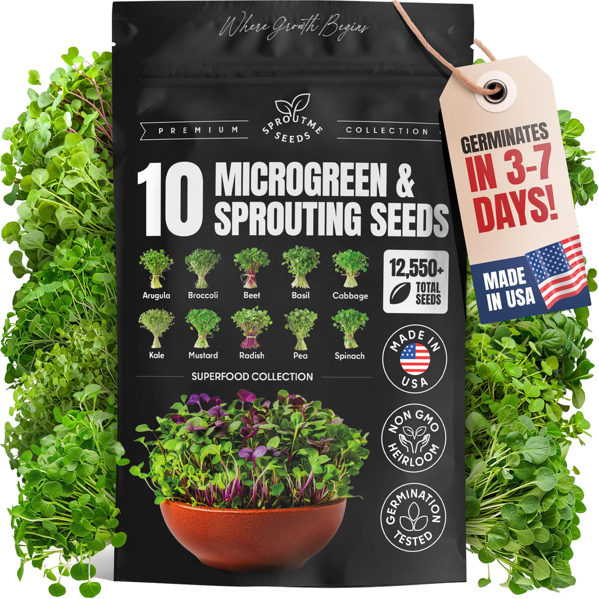 SproutMe Seeds arugula microgreens ready for quick garnish and fresh flavor