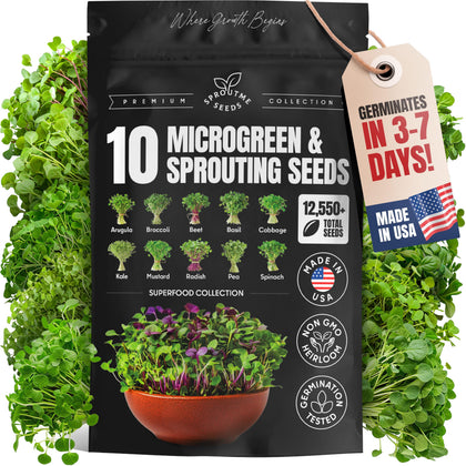SproutMe Seeds arugula microgreens ready for quick garnish and fresh flavor