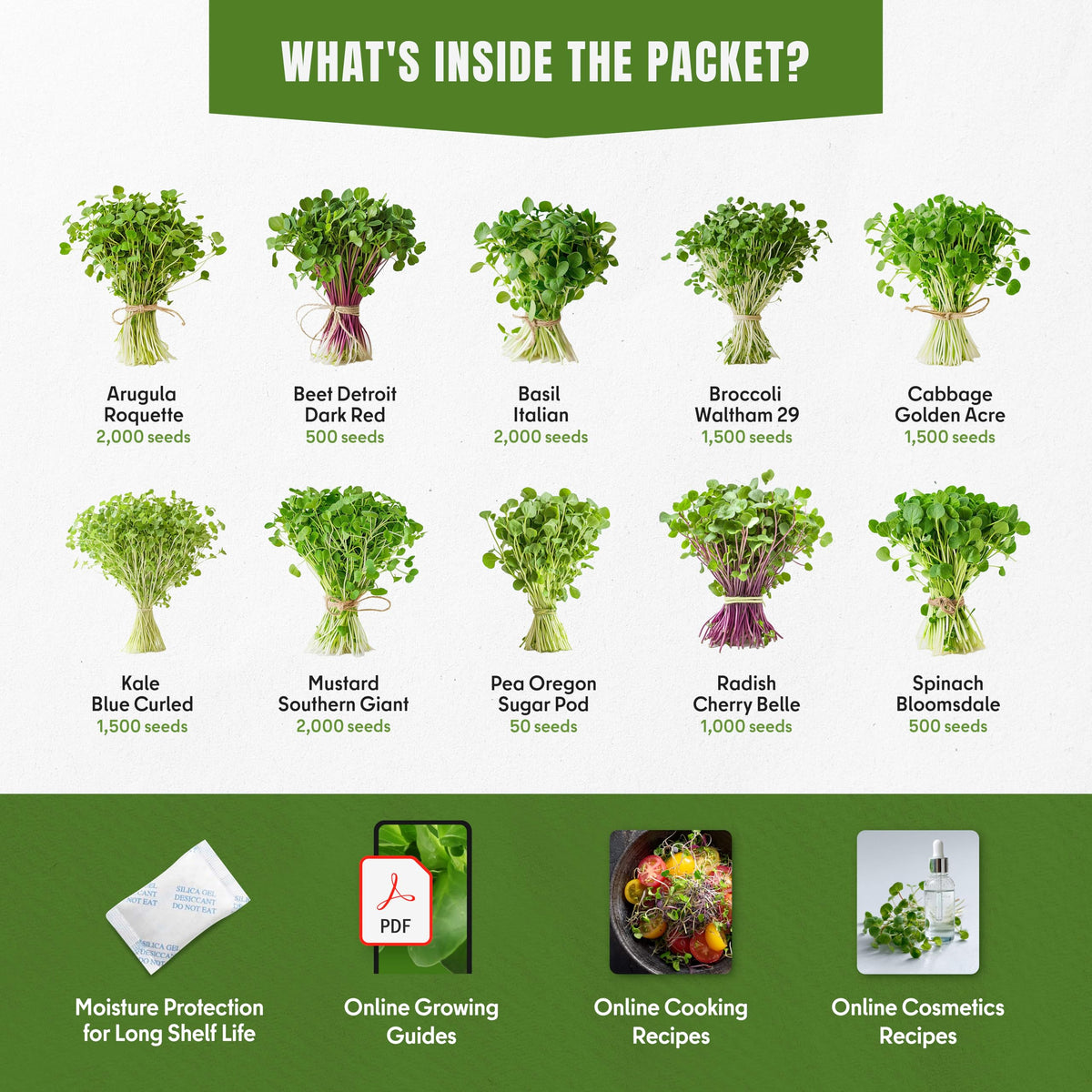 SproutMe Seeds beet sprouts ideal for colorful salads and earthy sweetness