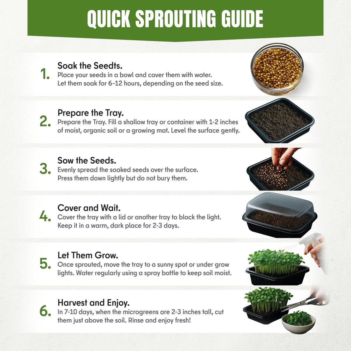 SproutMe Seeds broccoli sprouts provide crisp texture for bowls and wraps