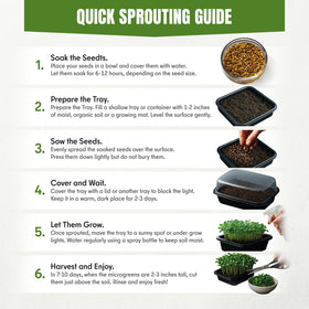 SproutMe Seeds broccoli sprouts provide crisp texture for bowls and wraps