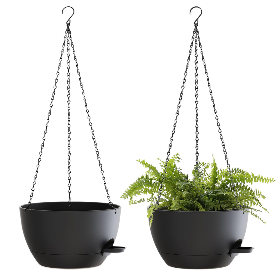SQKH 10-inch hanging basket with chains for sunlit balcony display.