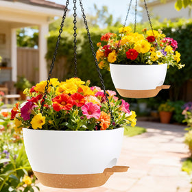 SQKH 12 inch self-watering planters suited for ivy, herbs, ferns, and succulents.