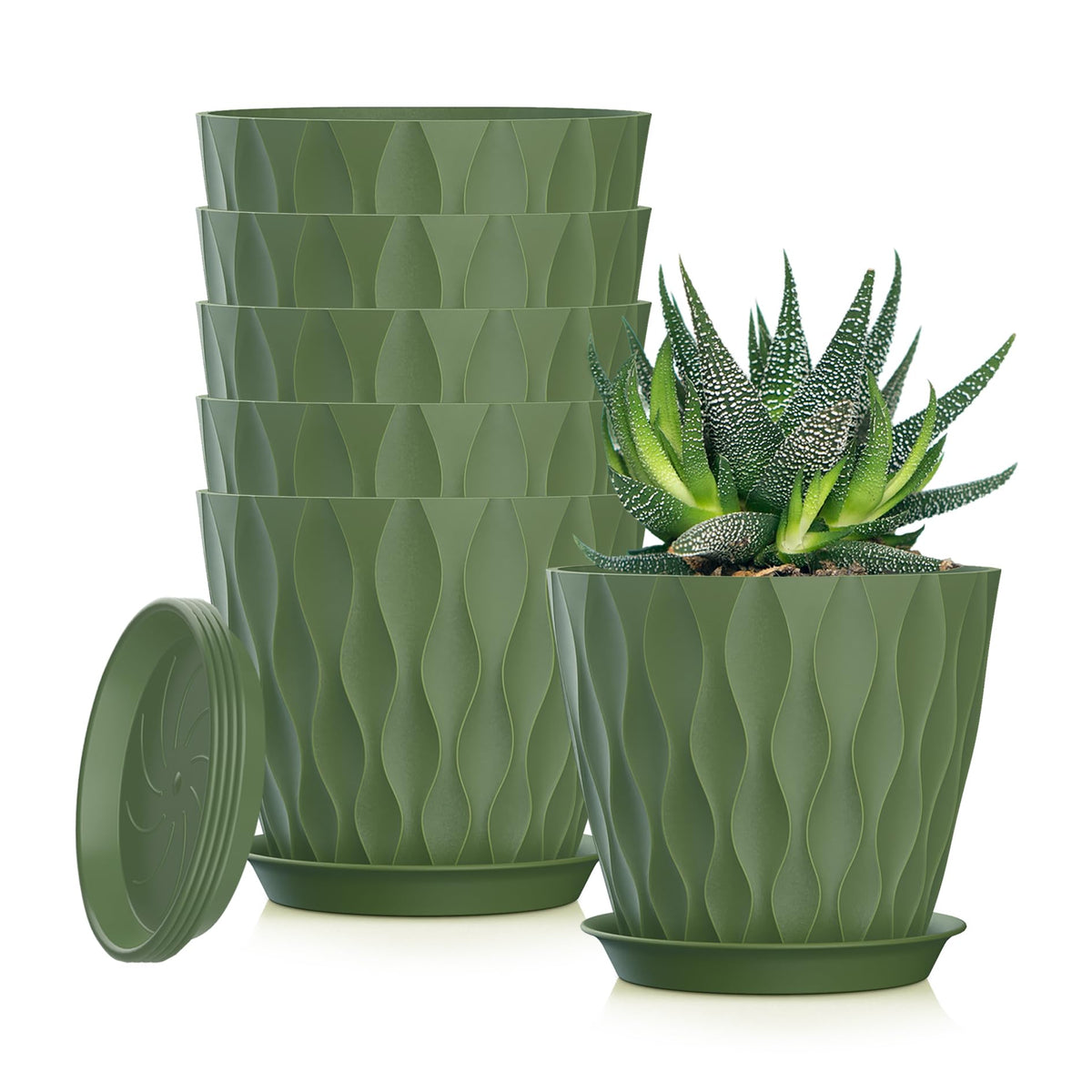 SQKH 5-inch planter pot in green, front view with drainage tray for tidy water management.