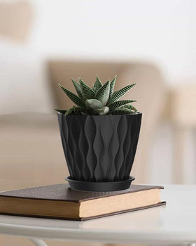 SQKH 6inch pot with tray catches soil and water spills.
