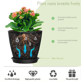 SQKH succulent-display 6 inch pot creates neat indoor plant arrangement.