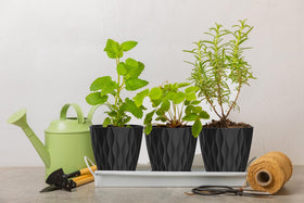 SQKH windowsill-decor 6 inch pot enhances desk or shelf organization.