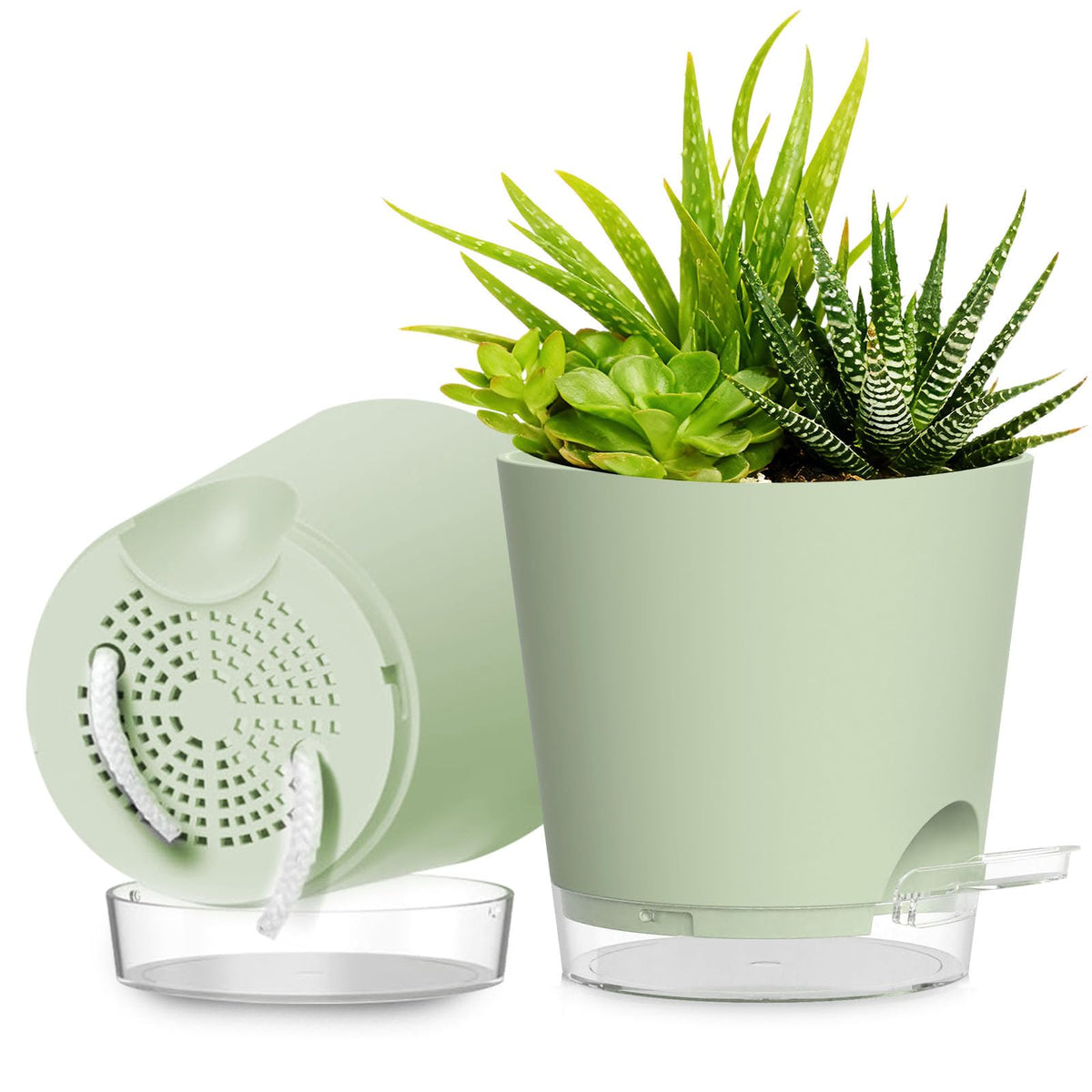 SQKH 8-inch self-watering pot with clear body for easy root monitoring.