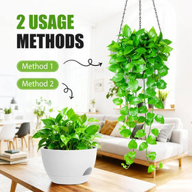 SQKH drainage holes promote healthy moisture balance for plants.