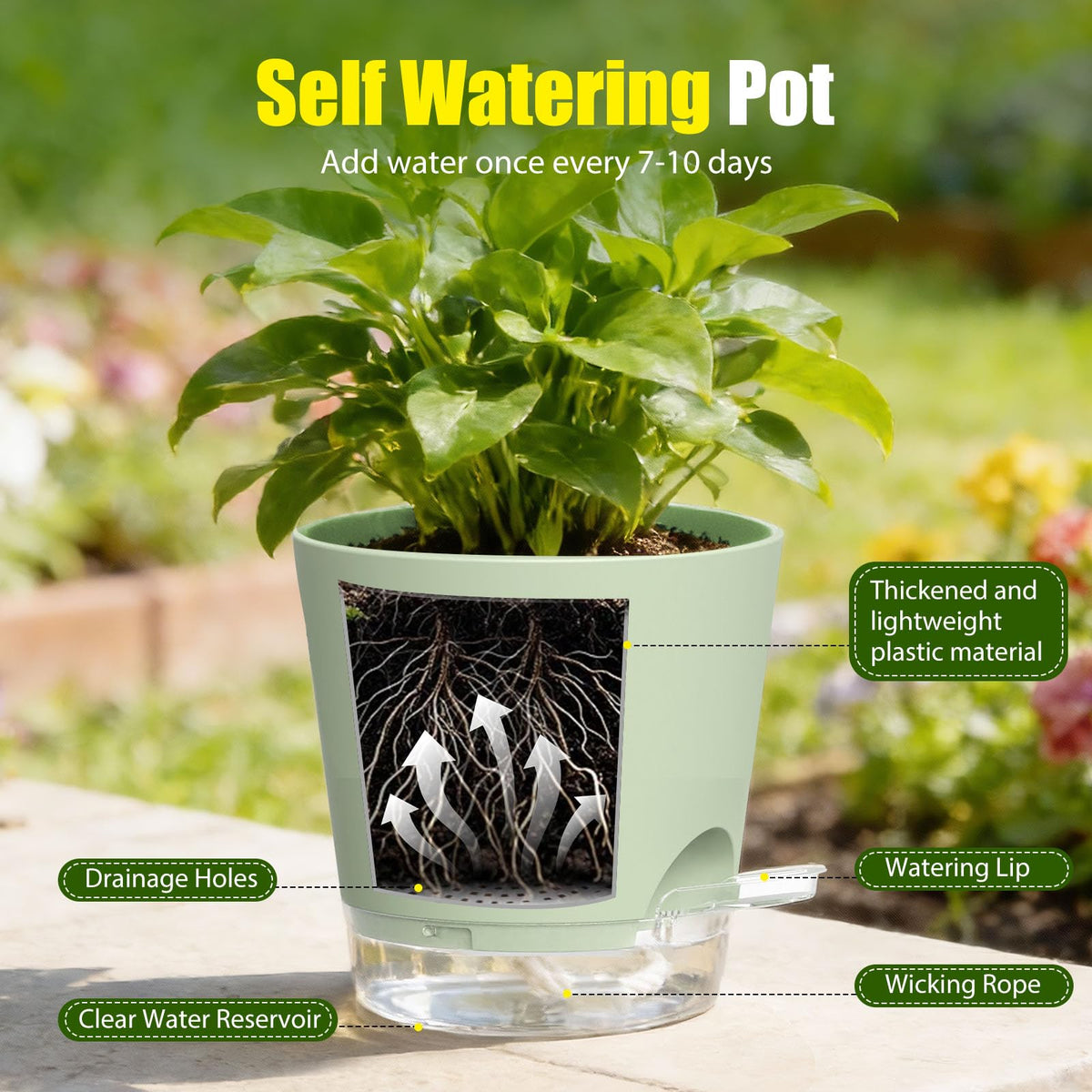 SQKH pot features drainage holes to help prevent overwatering.