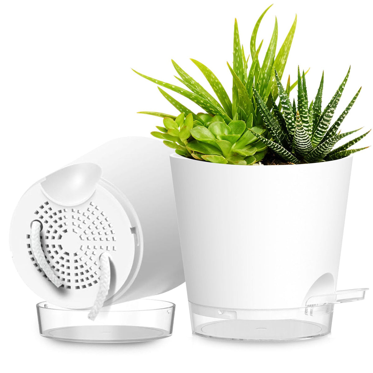 SQKH plant pots 8-inch self-watering view showing ample root space for medium plants.