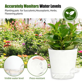 SQKH plant pots diy-paintable project invites creative plant displays.