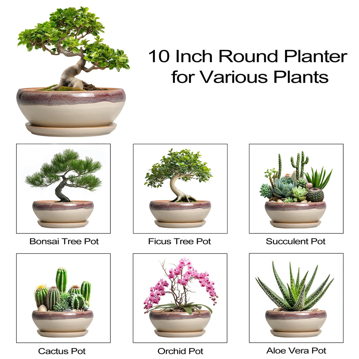 SQOWL beige planter adds subtle elegance to garden and home
