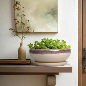 SQOWL bonsai pot includes mesh pad to protect roots
