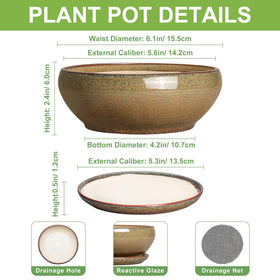 Drainage hole and saucer on SQOWL pot keep watering tidy