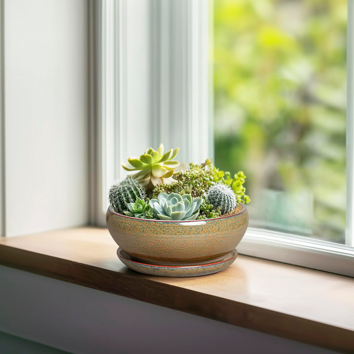 Versatile SQOWL pot suitable for indoor and sheltered outdoor use