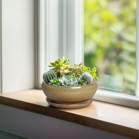 Versatile SQOWL pot suitable for indoor and sheltered outdoor use