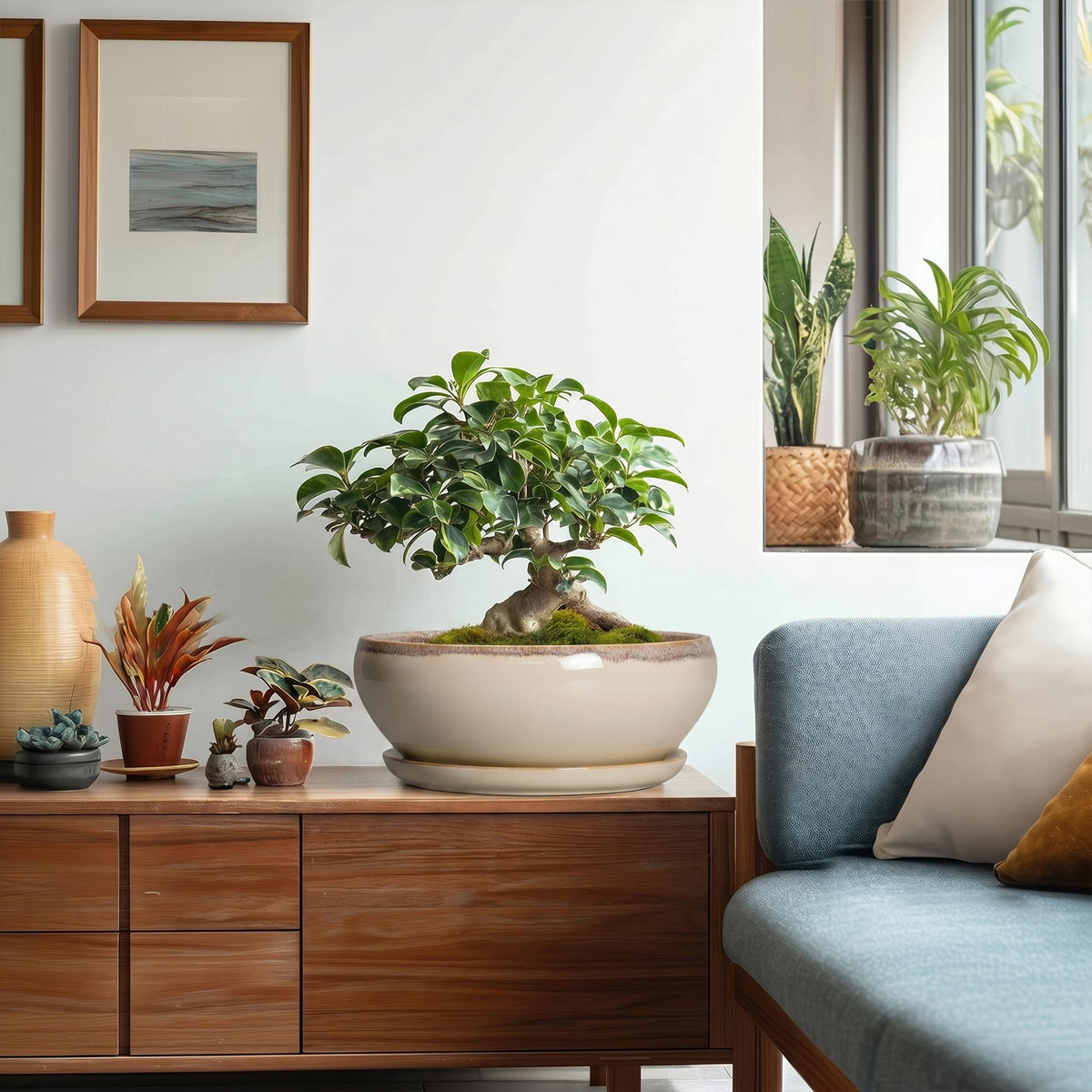 SQOWL ceramic planter suitable for orchids and herbs