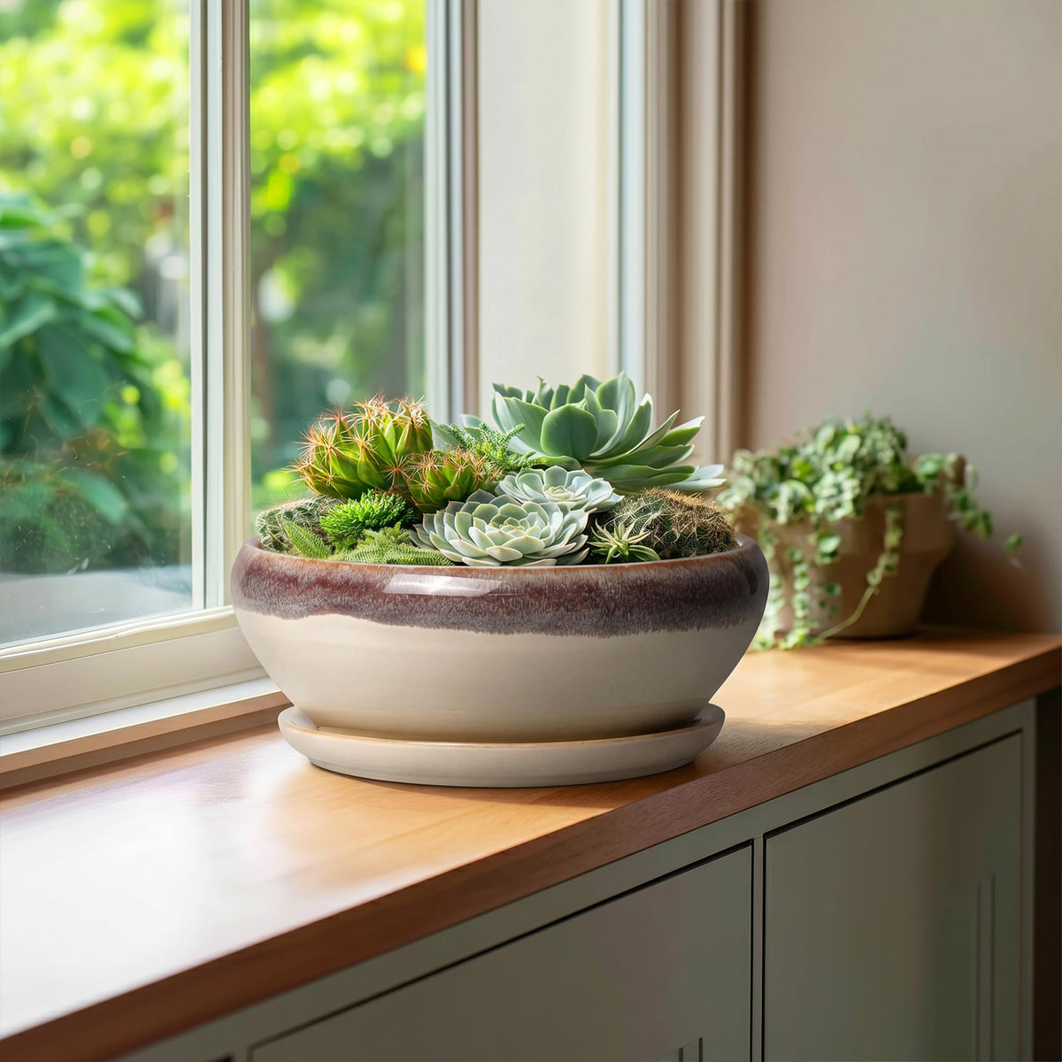 SQOWL glazed ceramic planter with smooth surface for quick cleaning