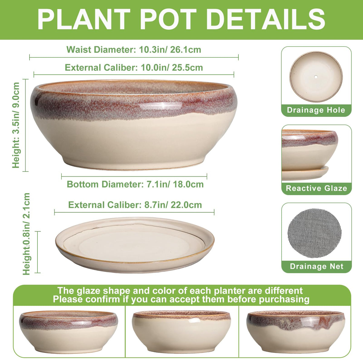 SQOWL round succulent planter with drainage hole for healthy root growth