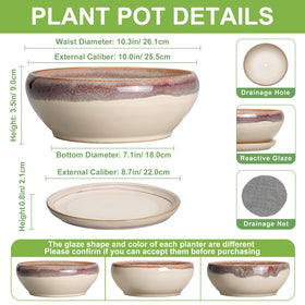 SQOWL round succulent planter with drainage hole for healthy root growth