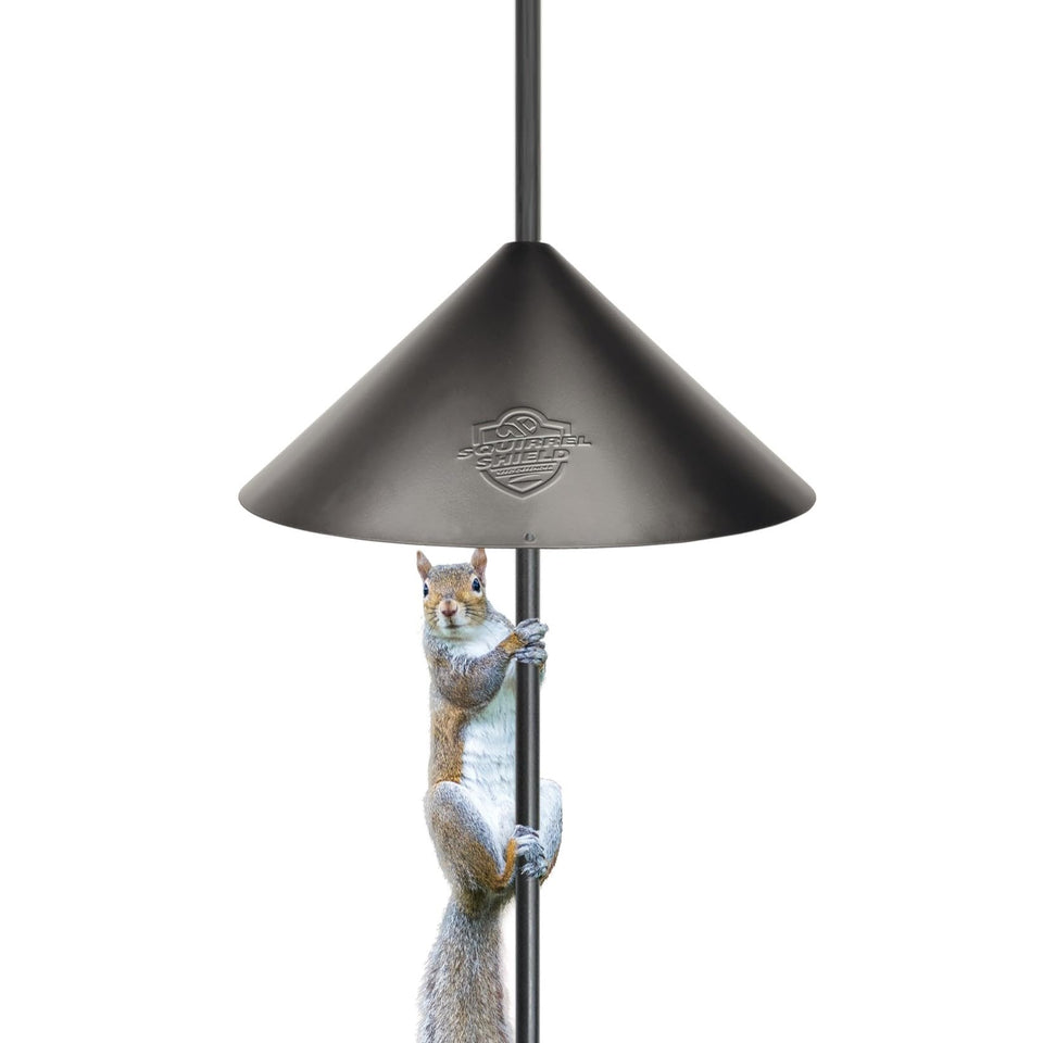 Squirrel Shield 18in baffle overview protects feeder from squirrels and rain.