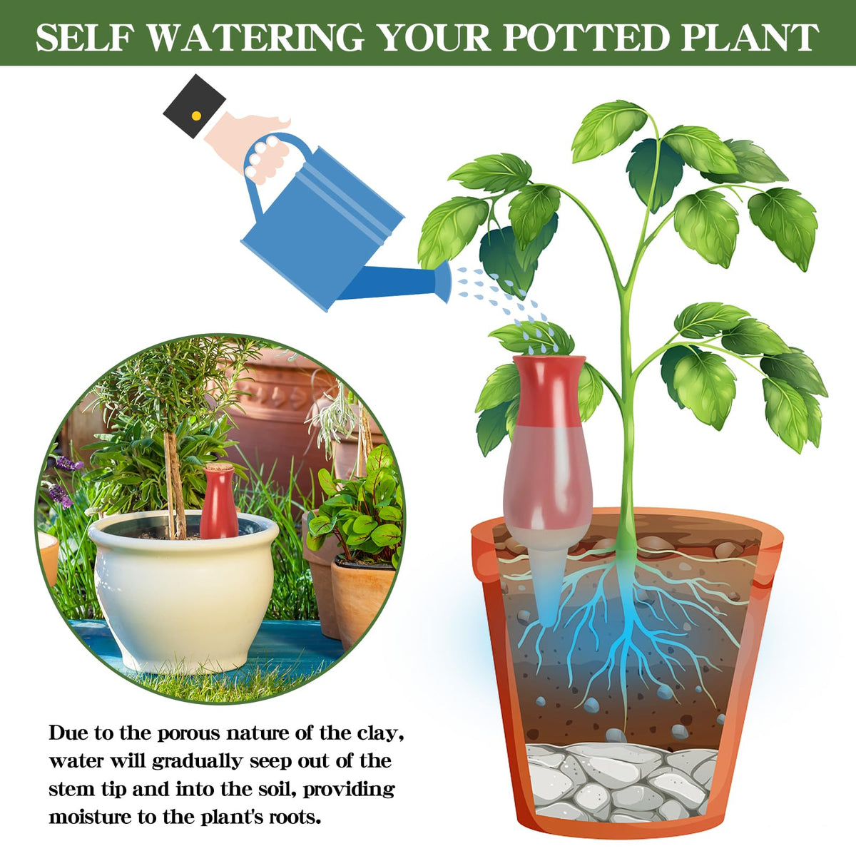 Srapwati terra cotta watering spike with top-fill design prevents daily watering chores.