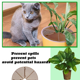 Srmayyi pet digging stopper in garden keeps soil tidy.