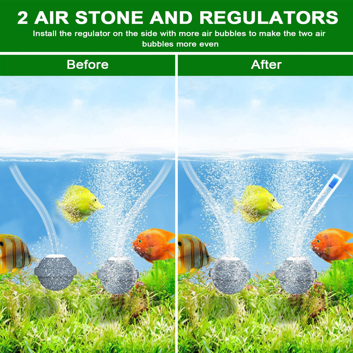 Srygery air pump unit with bubble stones for oxygen diffusion