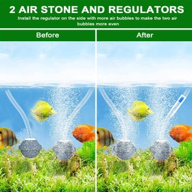 Srygery air pump unit with bubble stones for oxygen diffusion