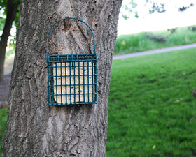 ST. ALBANS BAY SUET PLUS woodpecker blend twelve cakes on shelf highlight bulk value.