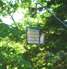ST. ALBANS BAY SUET PLUS woodpecker blend usa-made packaging signals quality.