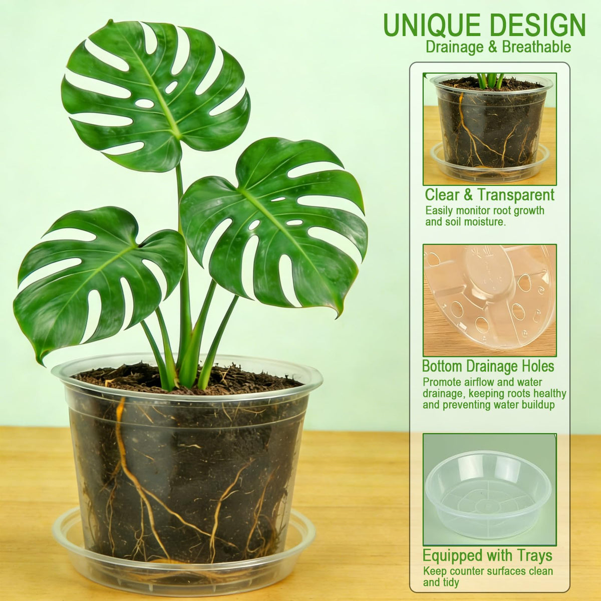 STAFANIE clear 10in nursery pot supports larger seedlings and up-potting.