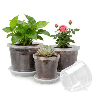STAFANIE clear 7in nursery pot for seed starting and root observation.