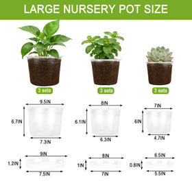 STAFANIE clear 8in nursery pot shows root growth during transplanting prep.