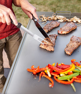 Stanbroil stainless steel griddle facilitates simple cleanup and odor control outdoors.