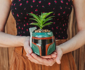 Star Wars Boba Fett helmet planter on a desk for compact display