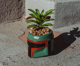 Star Wars Boba Fett planter includes artificial succulent for instant greenery