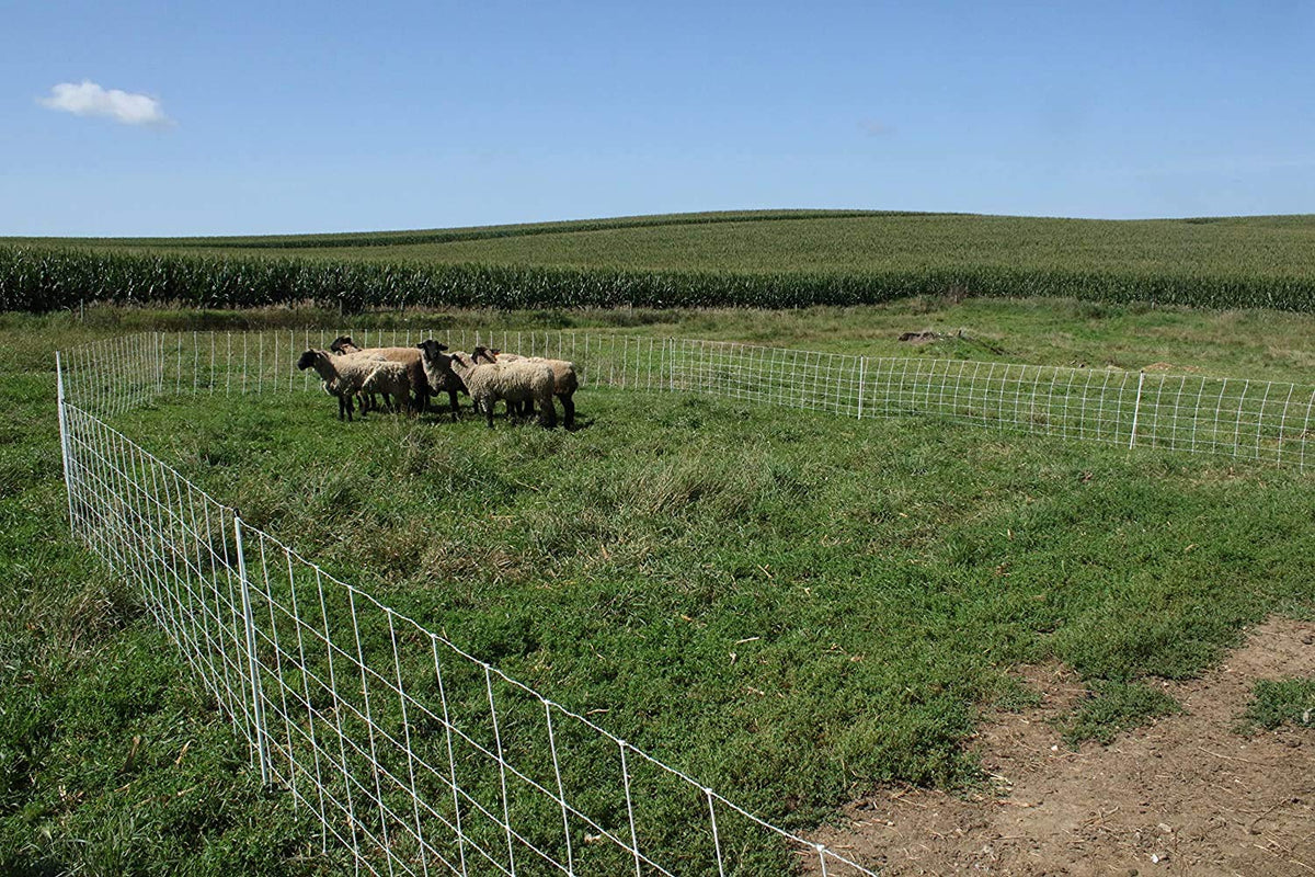 Easy setup with pasture rotation for efficient livestock management