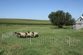 Grazing sheep and goats on varied vegetation with Starkline netting