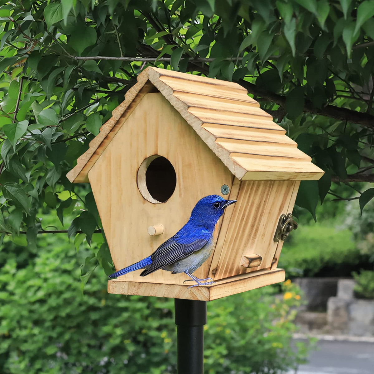 STARSWR Dimensions provide ample space for resting birds.