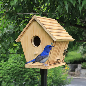STARSWR Dimensions provide ample space for resting birds.