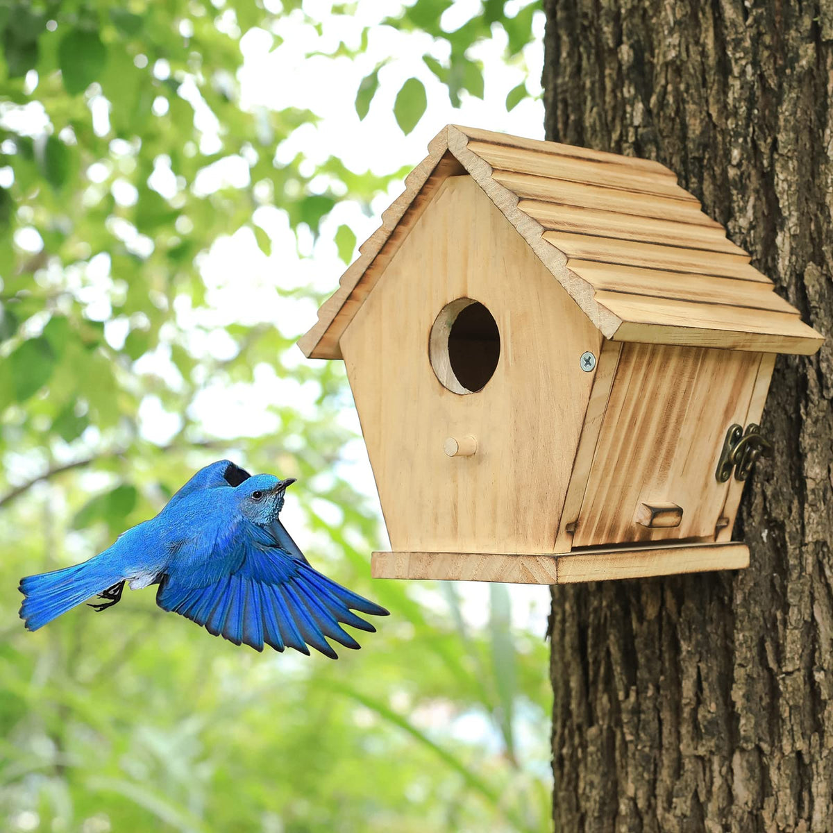 STARSWR Wooden bird house resists outdoor elements with durable finish.