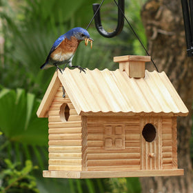 STARSWR bird house outside with two holes for safe entry and easy viewing in the garden.
